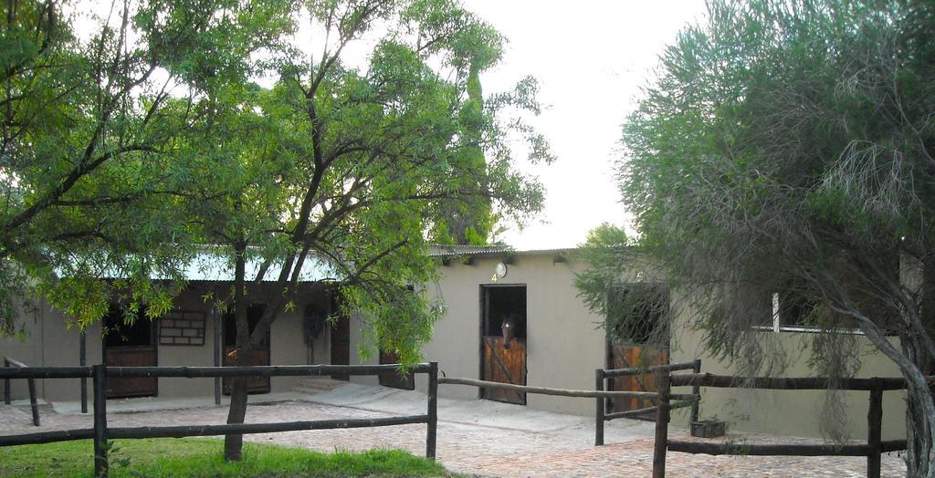 Pine Tree Lodge Мидранд Экстерьер фото